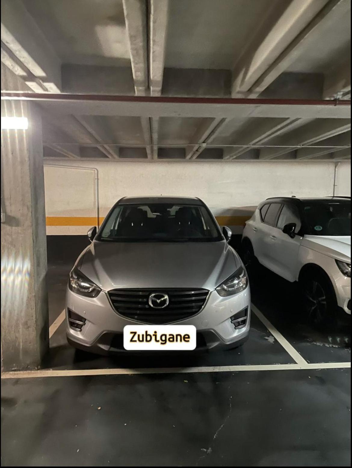 Zubigane Apartamento Junto A La Ria & Parking Bilbau Exterior foto